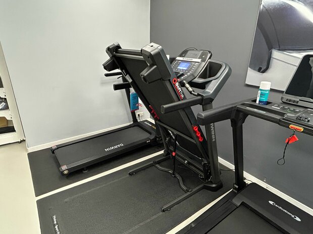 Schwinn Loopband 510T